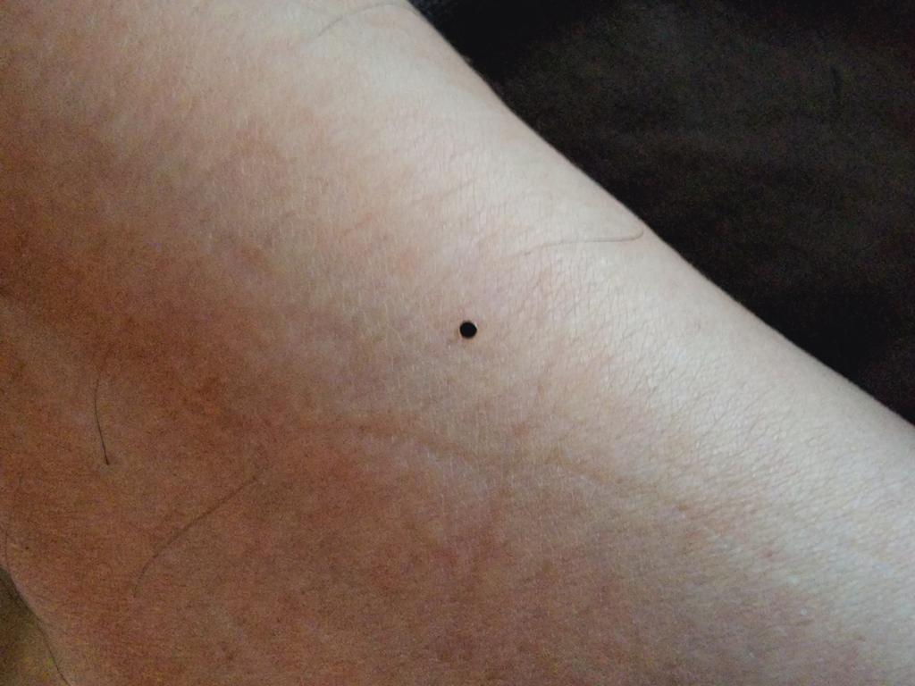 OPERATION. R.E. D. SEA.