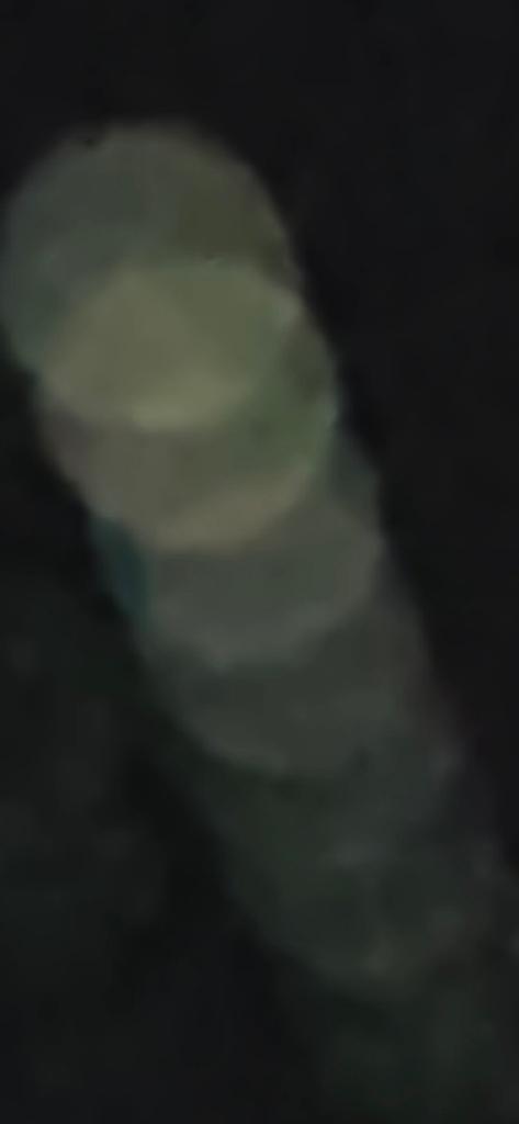 OPERATION. R.E. D. SEA.