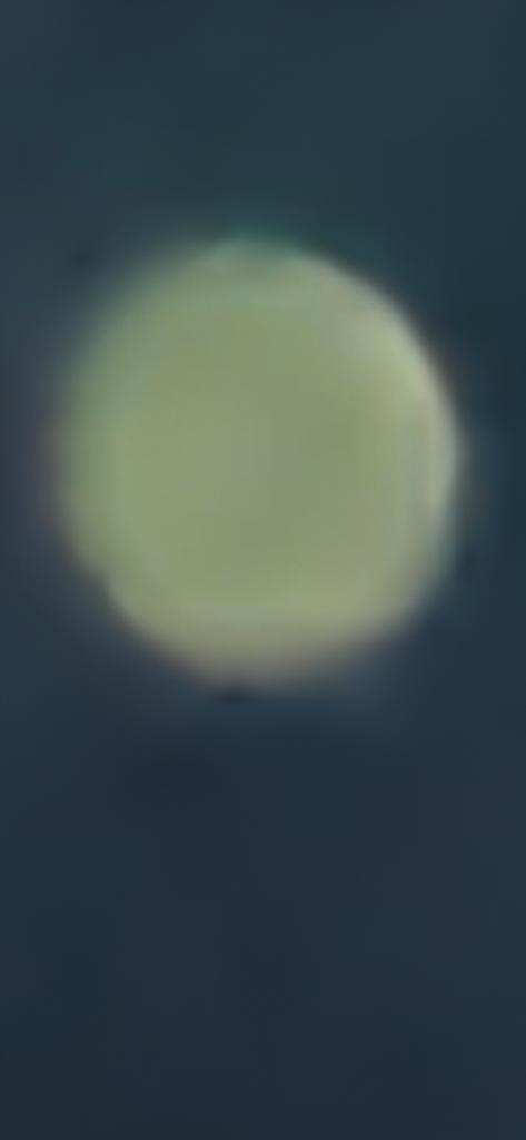 OPERATION. R.E. D. SEA.