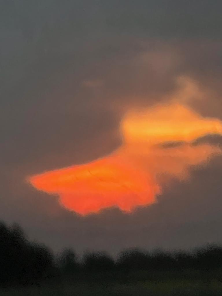 OPERATION. R.E. D. SEA.