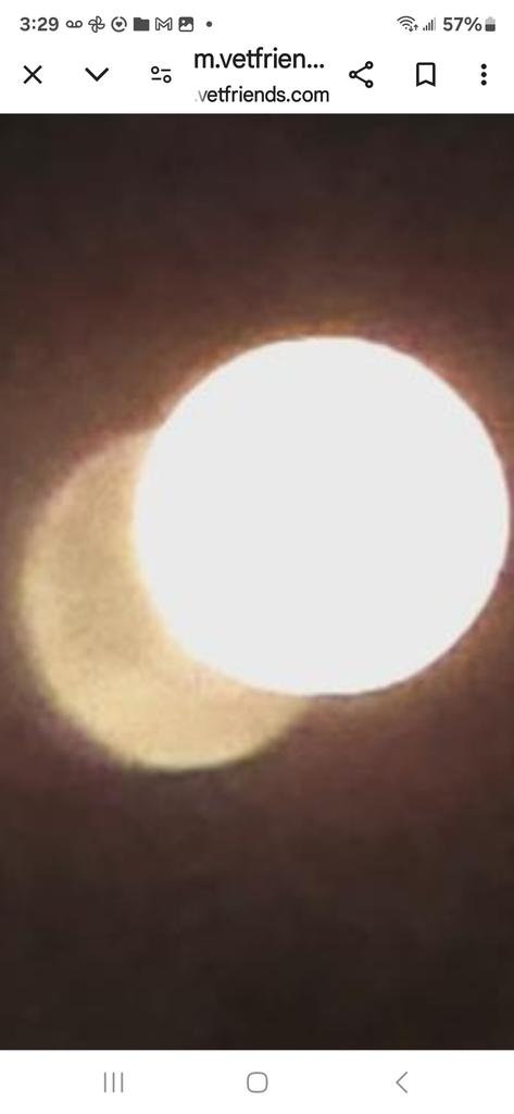 OPERATION. R.E. D. SEA.