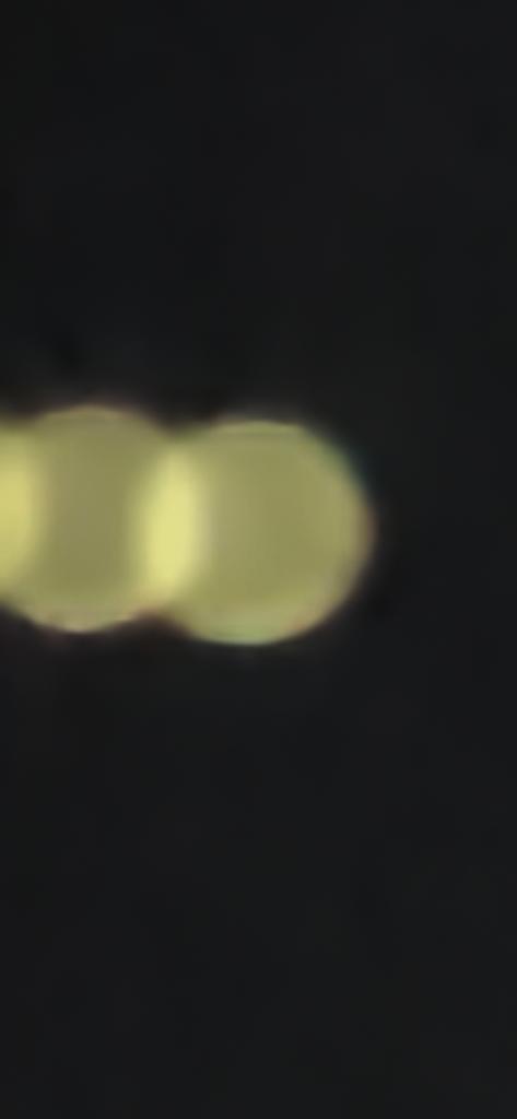 OPERATION. R.E. D. SEA.