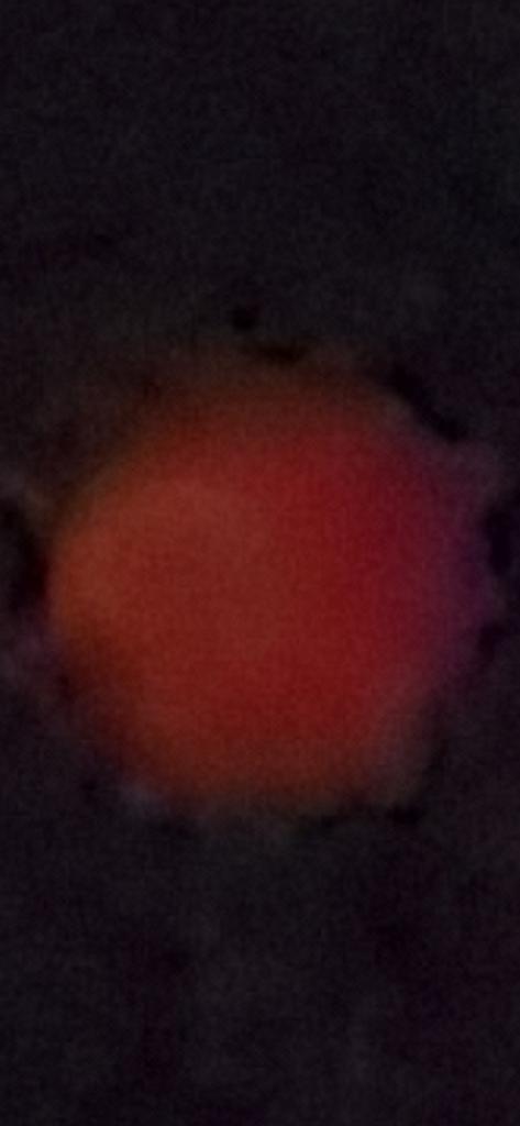 OPERATION. R.E. D. SEA.