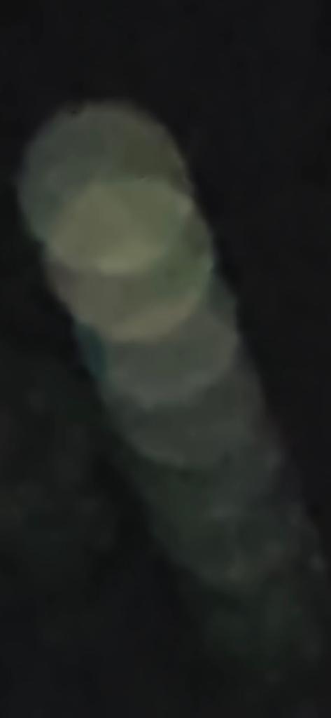 OPERATION. R.E. D. SEA.