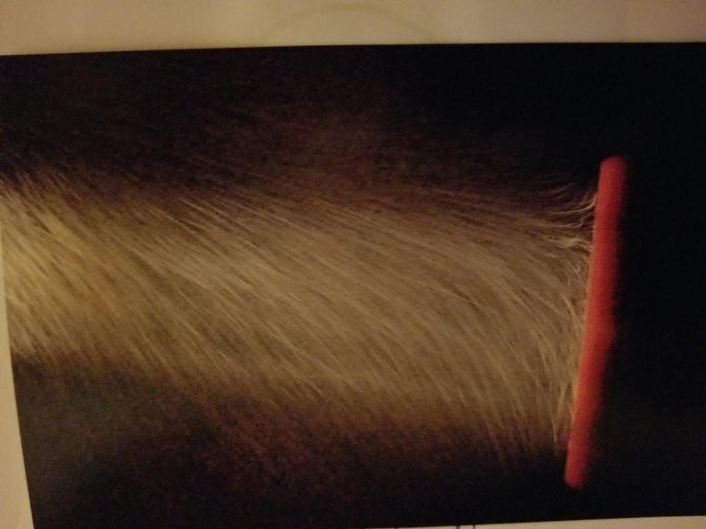 OPERATION. R.E. D. SEA.