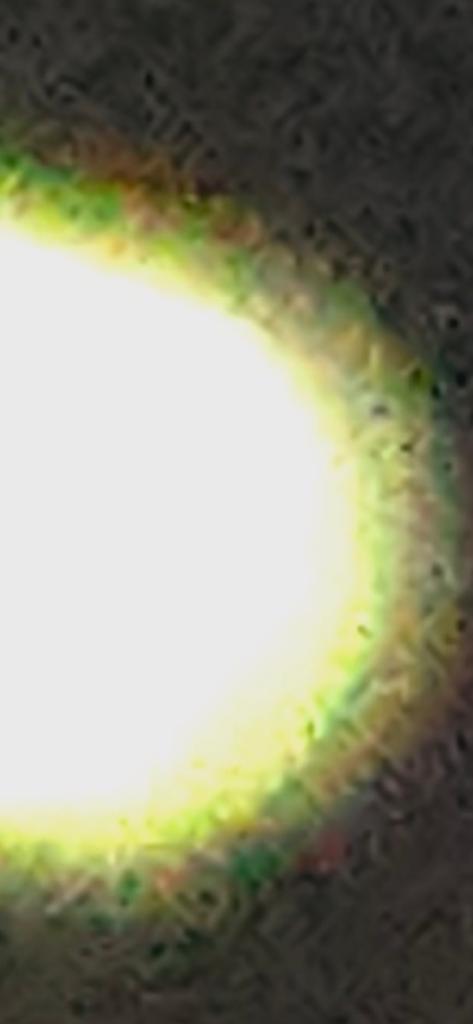 OPERATION. R.E. D. SEA.