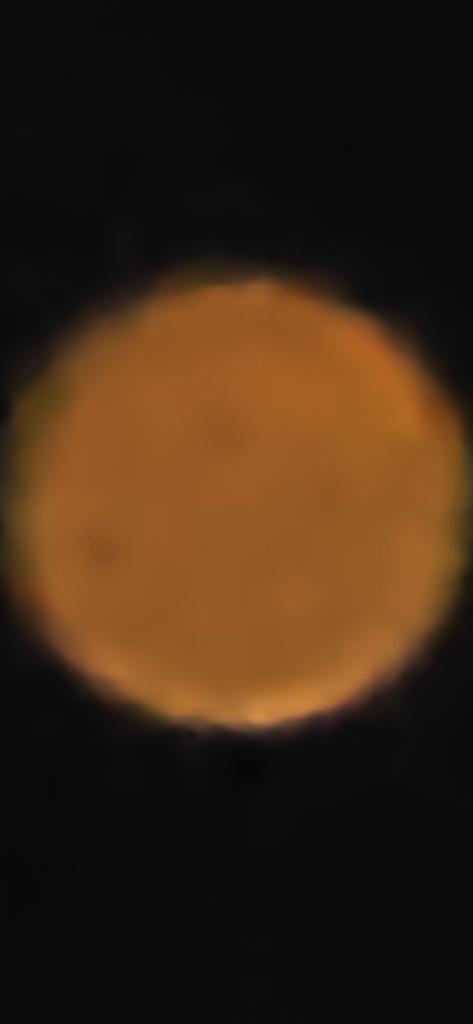 OPERATION. R.E. D. SEA.