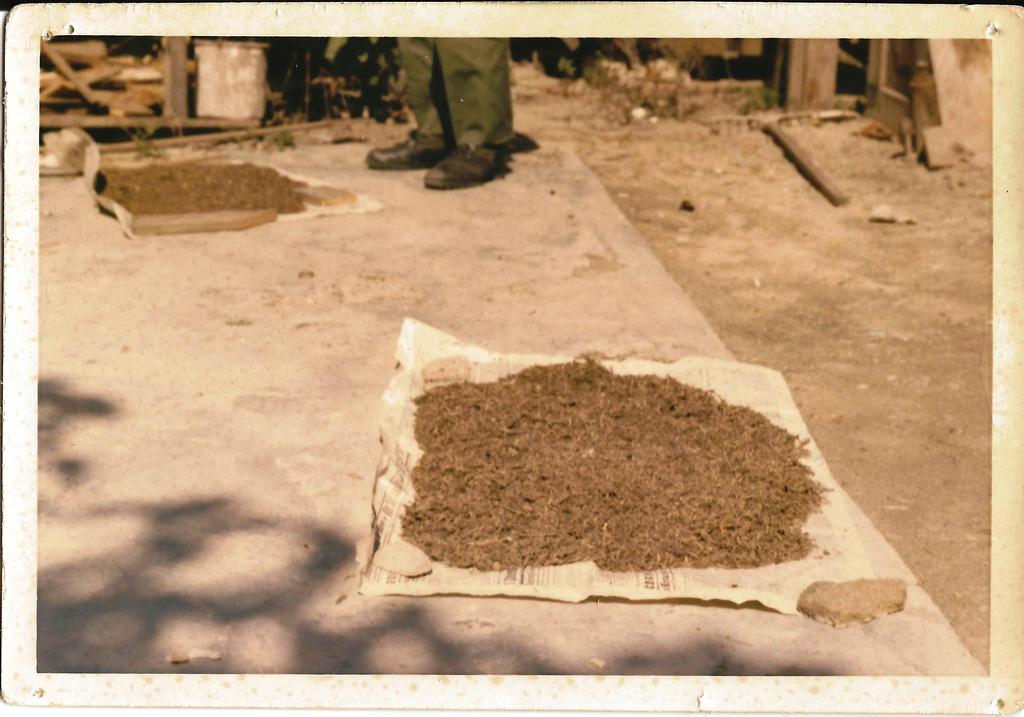 Kobe Restaurant Waikiki, Hawaii