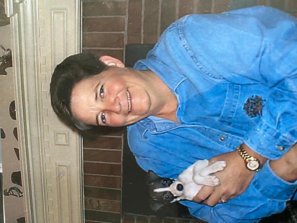 The Phoenix Program /