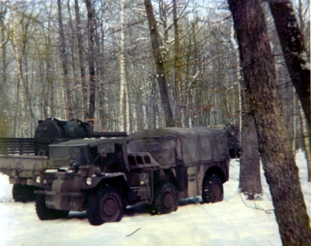 Just got a turkey in the backyard