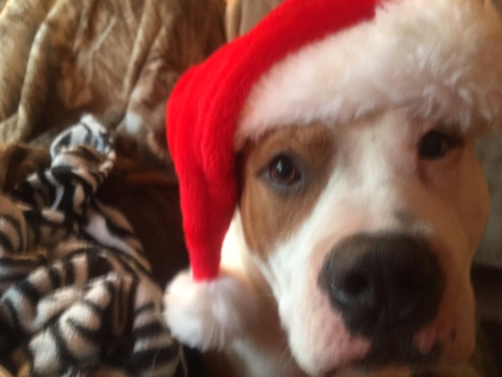 USS LAWRENCE DDG-4 1965