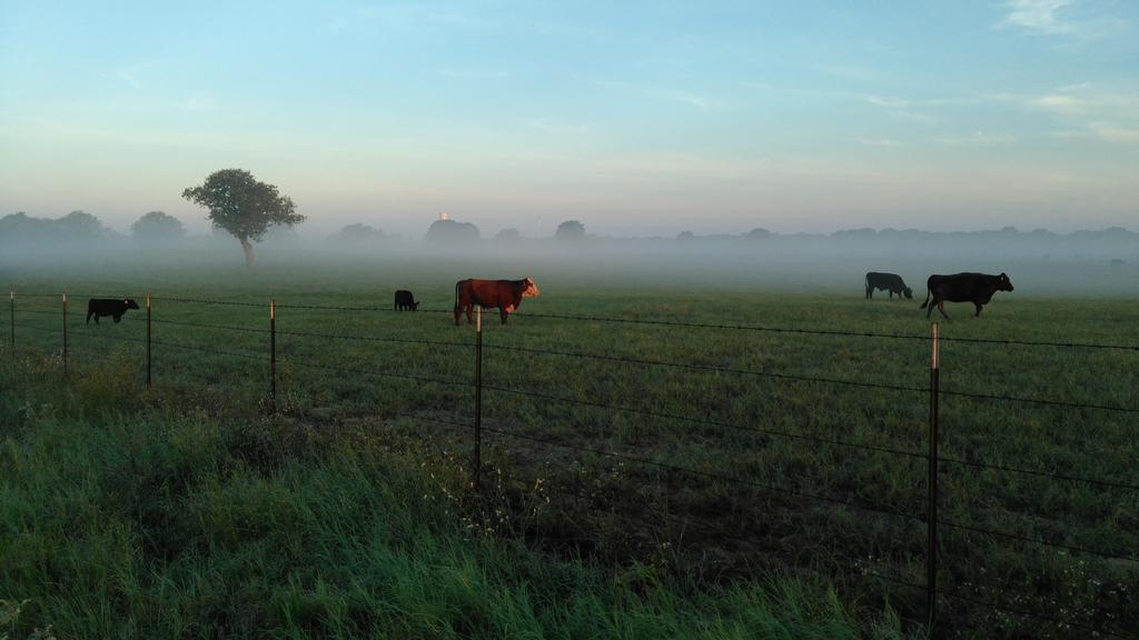 William Dybas in An Khe