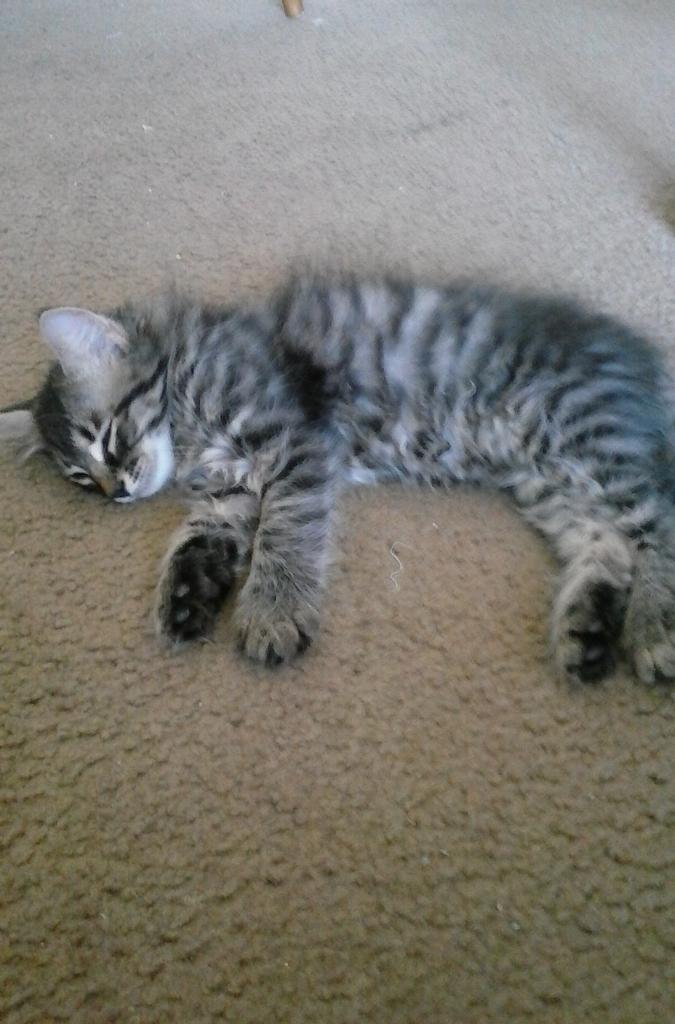 need to find identity