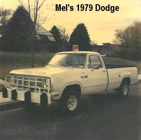 goldbar (right ear missing)