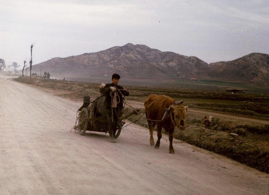 Baseball team at Oak Knoll.