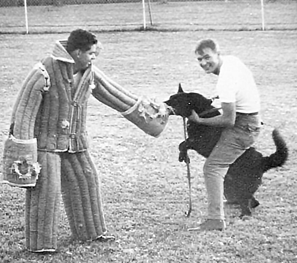 working with italians