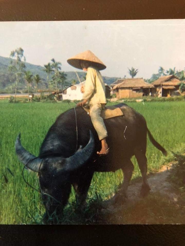 Iraqi Artwork Graffiti