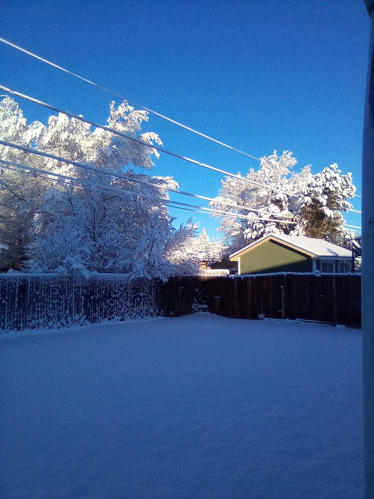 Protective Mask Training