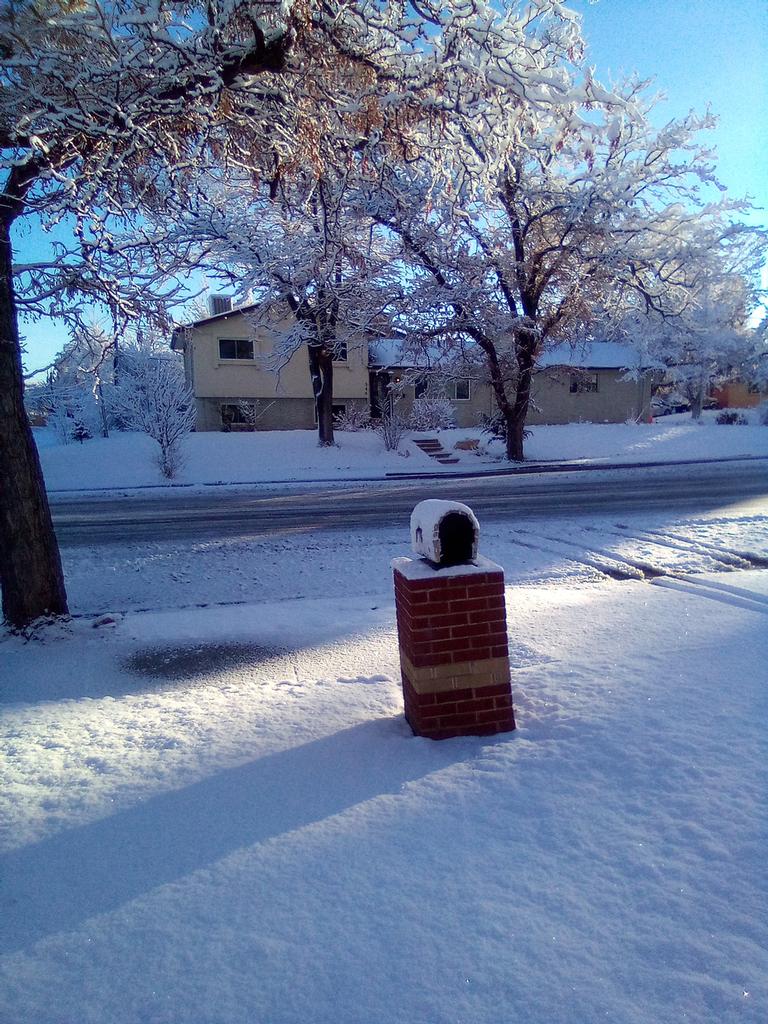 Geneva Convention Identity Card